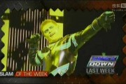WWE夏日狂潮回顾：绿箭侠阿梅尔联手内维尔完胜星尘
