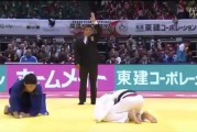刚柔对决：根柔道与太极的哲学较量