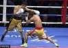 2017WBO蝇量级拳王争霸赛邹市明遭木村翔TKO卫冕失败