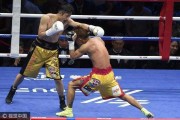 2017WBO蝇量级拳王争霸赛邹市明遭木村翔TKO卫冕失败