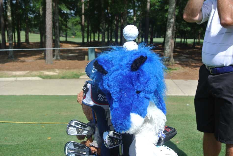 果岭上的戏剧瞬间与竞逐之路 两位球员蹲在果岭边,用手指点并认真讨论着小白球通往球洞的复杂滚动线路