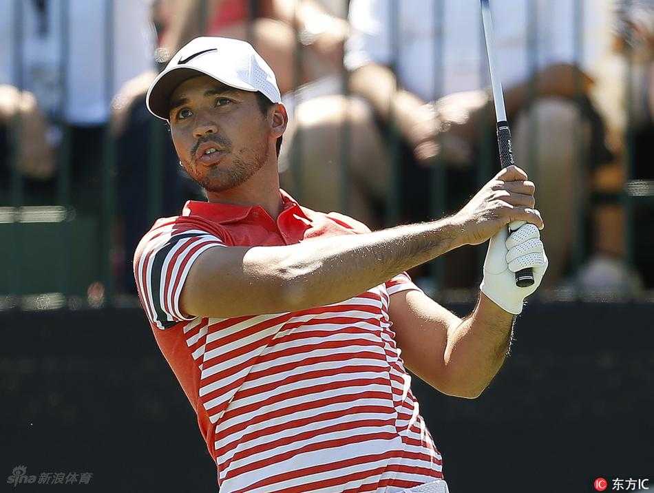 水塘边的鳄鱼慵懒地栖息在阳光下，对不远处高尔夫球场的喧嚣仿佛毫不在意