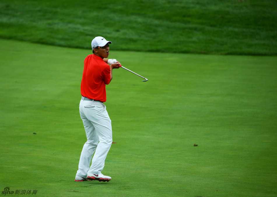 赛场上，一位小观众全神贯注地观看比赛，眼中充满了对高尔夫运动的向往与好奇。