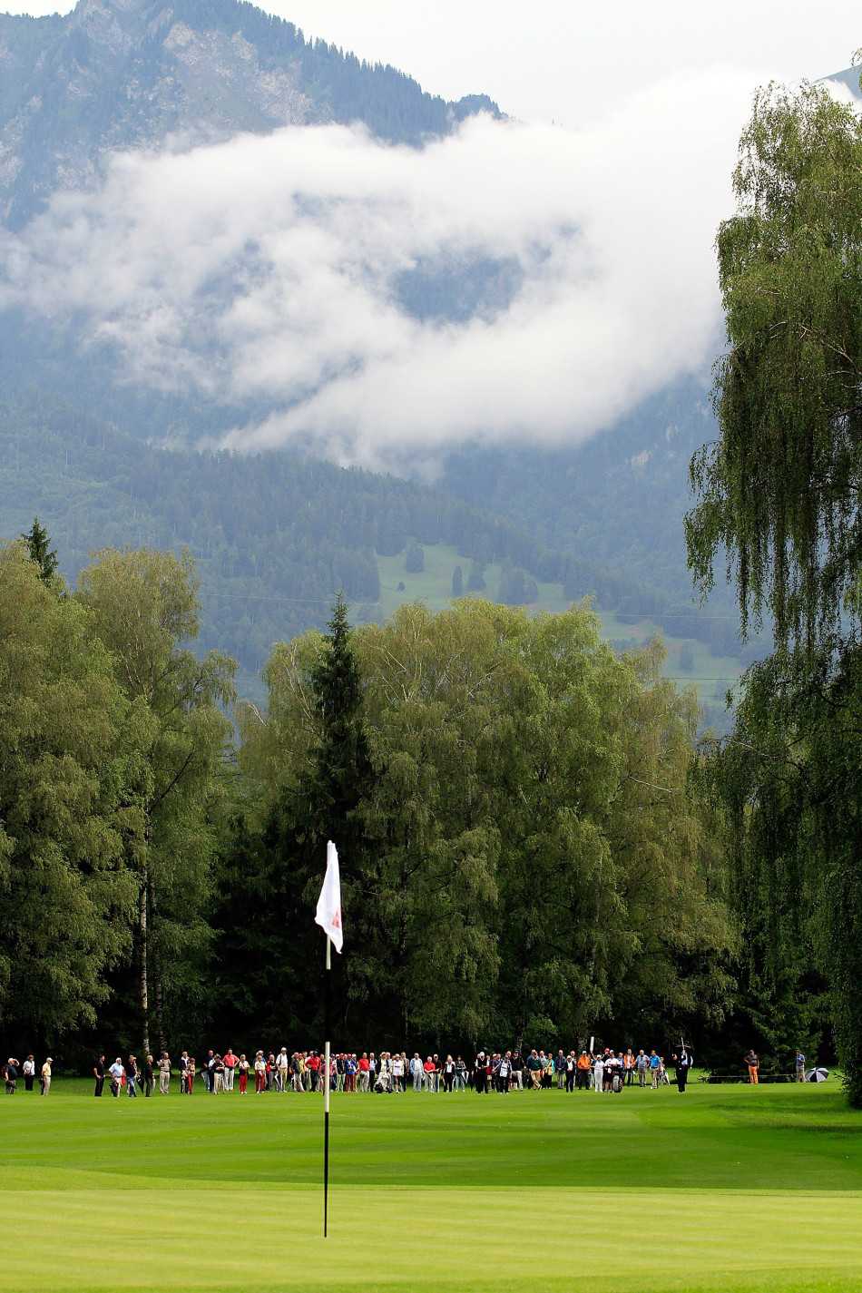 翠绿开阔的球道在古树的荫蔽下向前延伸，引导着球员挑战下一个目标，充满策略与趣味。