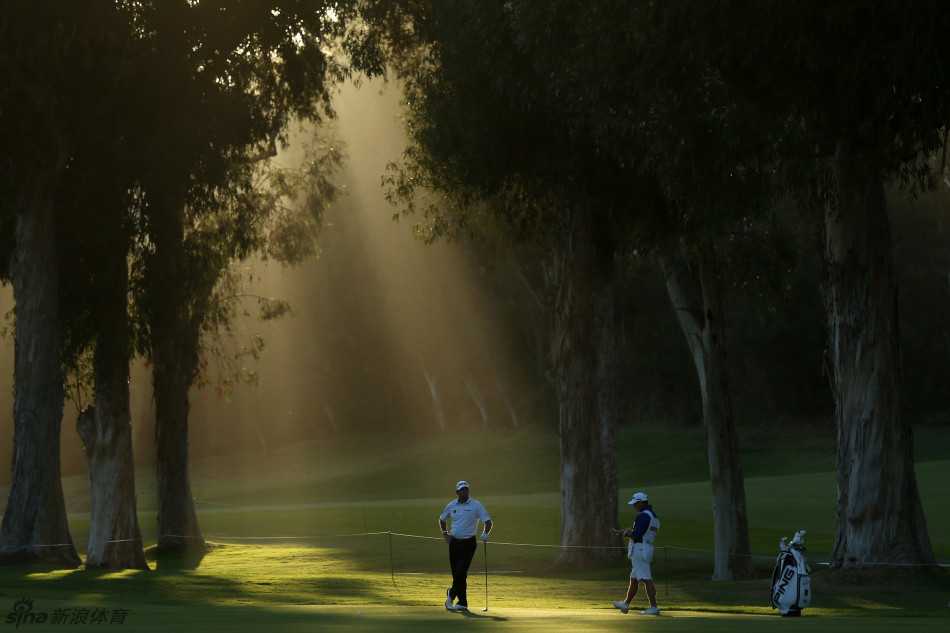 大师赛观众席上惊喜求婚瞬间，情侣在绿色海洋与众人祝福中深情相拥