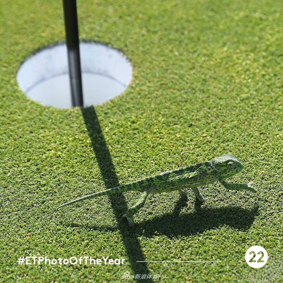 孤独行者：球员背着球包独行于沙丘之间，落日将身影拉长，尽显征途苍茫