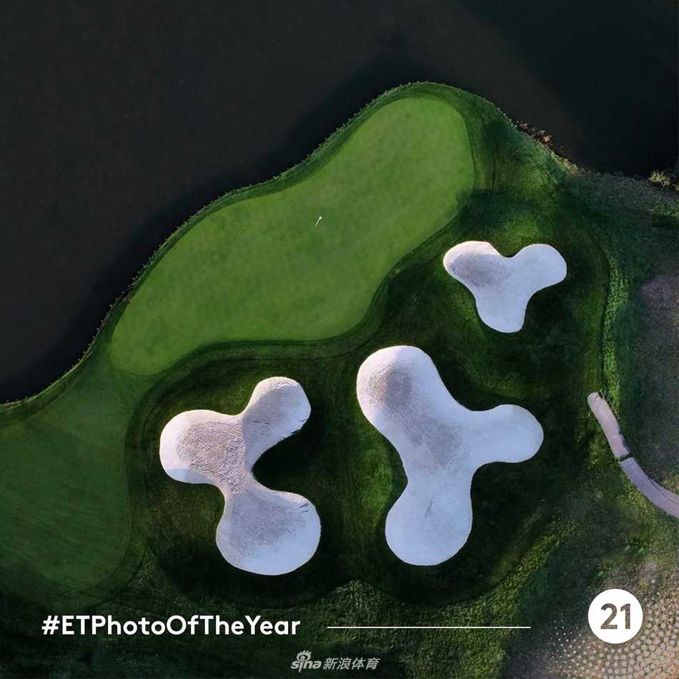 果岭博弈：两位名将并肩观察推杆线路，阴影与光线将果岭分割成战略地图