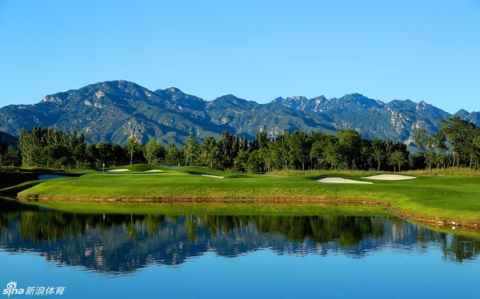 球员周子勤果岭上沉稳推杆，动作流畅一气呵成