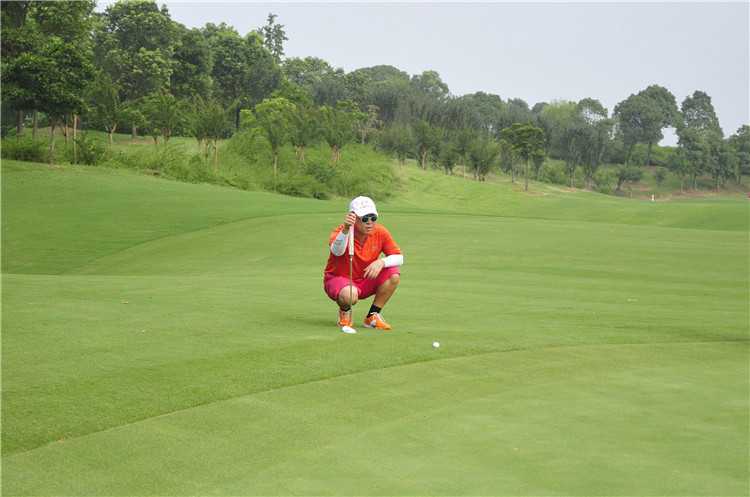 两位球员在赛场边自信握手，目光坚定地望向镜头，他们手臂上的擂台袖标格外醒目，仿佛一场友好的对决即将上演。