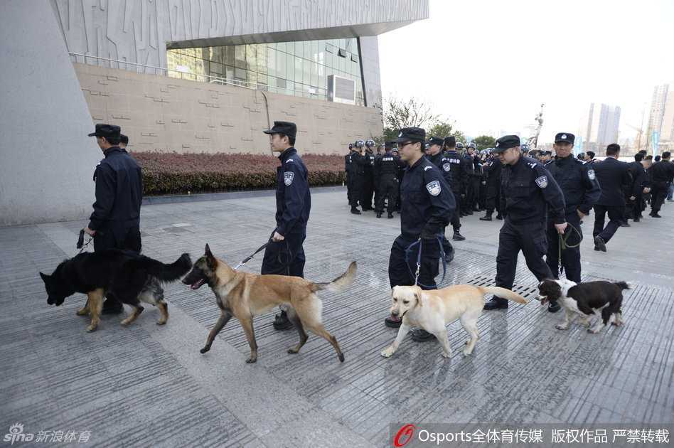总决赛战前风云:警犬特警齐上阵,安保防线铸就钢铁赛场 威风凛凛的警犬在训导员带领下,专注地对球馆外围的每一个角落进行细致排查,不放过任何一丝安全隐患。