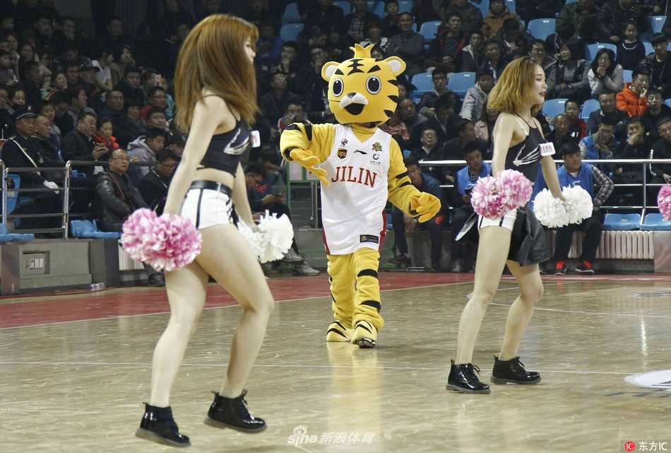 冰与火之歌:吉林寒夜里的激情碰撞,啦啦宝贝与“东北虎”共舞 暂停时刻,啦啦宝贝半跪在场地中央为球员加油,吉祥物“老虎”蹲在她身后做出眺望远方的样子,一静一动构成了一幅充满人情味的赛场画卷。