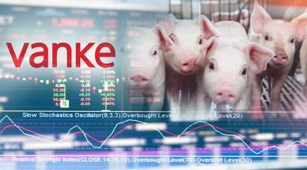 阿里vs猪木平局收场：一场定义MMA又近乎摧毁双方的世纪闹剧