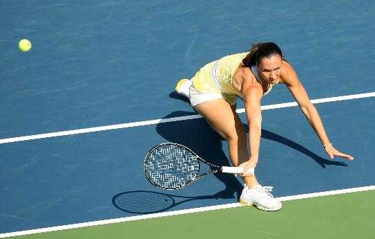 关于您查询的说明